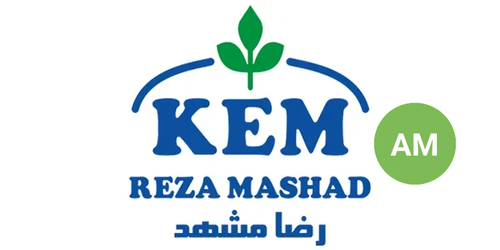 کاتالیست پژو 405 کتابی – دو سنسور - AM