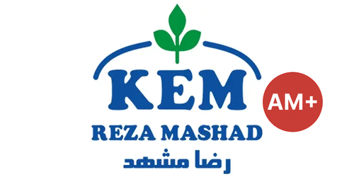 کاتالیست TU5 – (رانا) پژو 206 تیپ 5 - AM PLUS